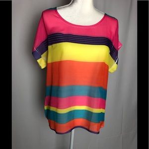 Sheer Striped Multi Color Blouse